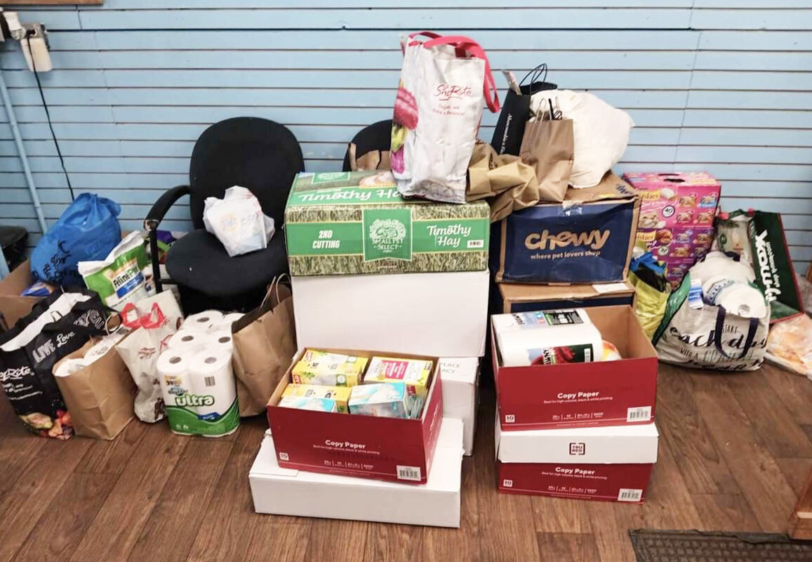 Pet supply drive helps Lyndhurst animals in need The Lighthouse